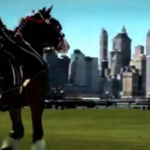 We Finally Found A Full Version Of The 9/11 Commercial That Only Ever Aired Once