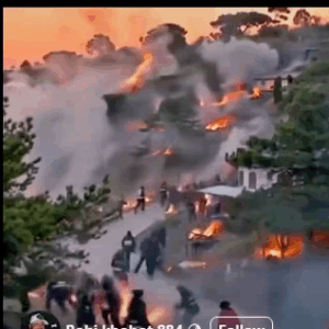 Breaking news, many people were killed and a fire broke out in …See more