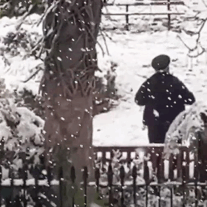 Police Officers Spark Criticism By Having Snowball Fight In Park