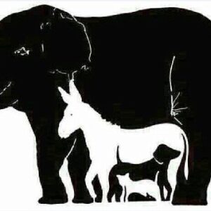 How Many Animals Can You Find? Most Of The People Can’t Find More Than 3…