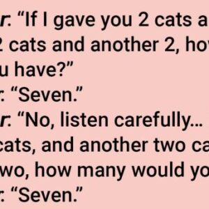Teacher Gets The Most Ridiculous Answer And Would Have Be Smart Not To Ask The Question Again