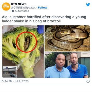 “Shocking Encounter: Man’s Horrifying Discovery Inside Bag of Aldi-Bought Broccoli”