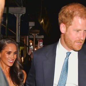 Prince Harry Likens Recent Car Chase With Paparazzi to the One That Killed His Mother, Princess Diana