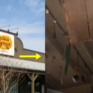 Cracker Barrel Apologizes, Removes ‘Offensive’ Decoration