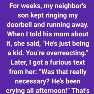 My Neighbor’s Kid Wouldn’t Stop Pulling Pranks on Me, I Finally Turned the Tables