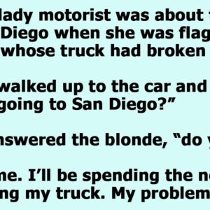 A Blonde Woman Is Asked to Take Two Chimpanzees to the San Diego Zoo