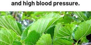 This plant is everywhere, but you had no idea it can treat tumors, diabetes, and high blood pressure