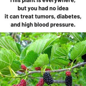 This plant is everywhere, but you had no idea it can treat tumors, diabetes, and high blood pressure