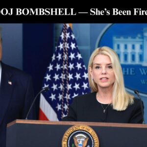 Pam Bondi Fires Jeffrey Epstein Prosecutor