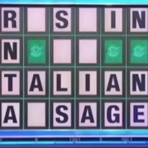‘Wheel Of Fortune’ Leaves Viewers Stunned With ‘Risque’ Puzzle