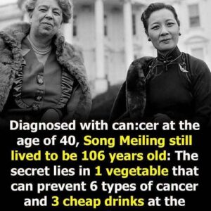 A Legacy of Health: Exploring Soong Mei-Ling’s Remarkable Longevity, Her Personal Battle Against Cancer, and the Enduring Impact of Her Lifestyle, Medical Access, and Resilience on Public Perception of Wellness, Aging, and Women’s Health in Modern Chinese and Global History